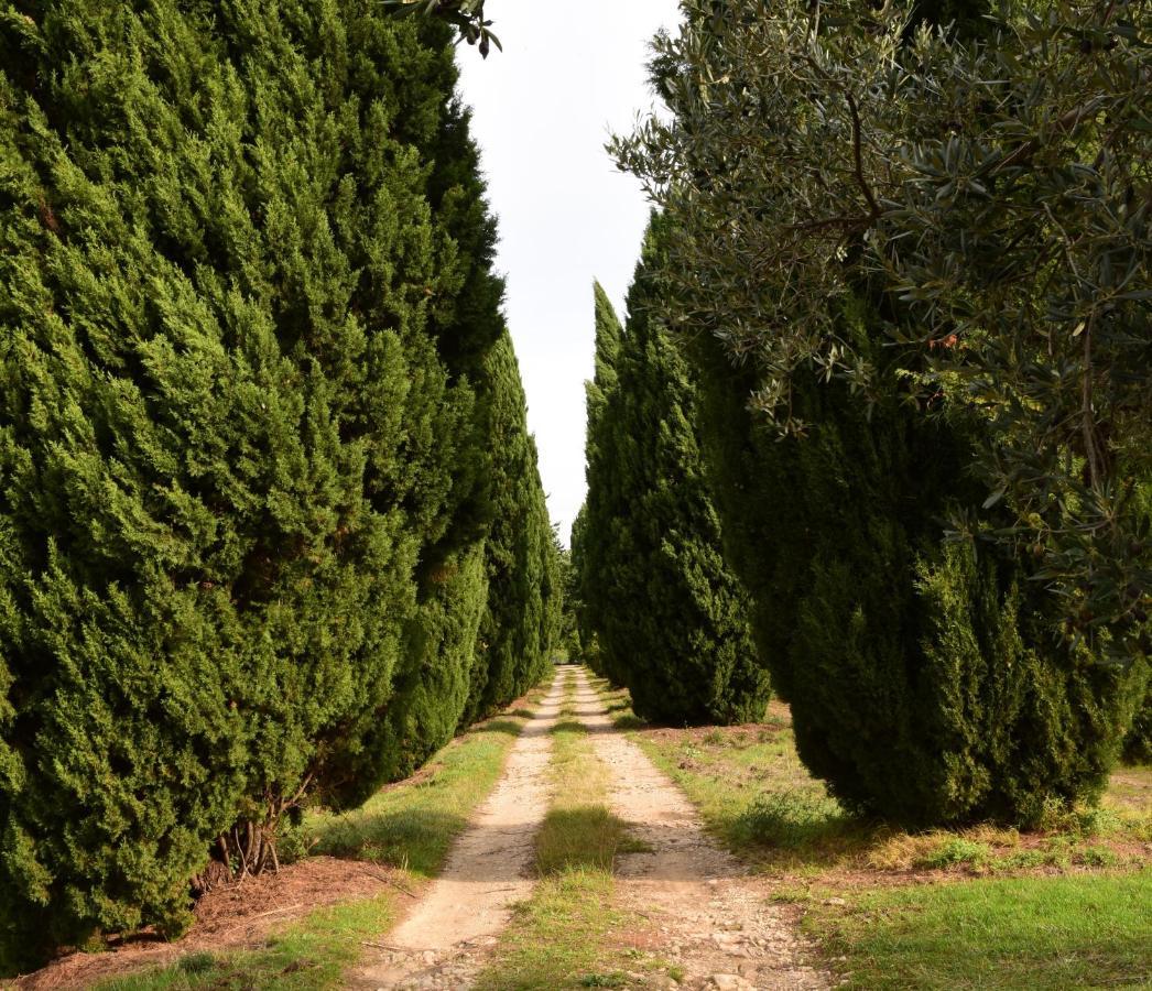 Chateau Saint-Esprit Bed & Breakfast Draguignan Luaran gambar