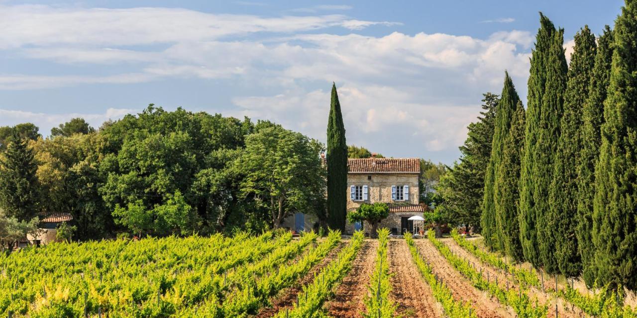 Chateau Saint-Esprit Bed & Breakfast Draguignan Luaran gambar